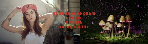 синтетический гашиш Нефтекумск