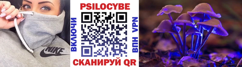 Галлюциногенные грибы GOLDEN TEACHER  где купить наркотик  Горячеводский 